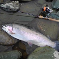 天竜川ルアーフライ専用区